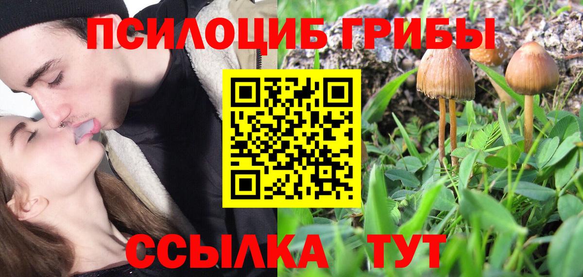 Псилоцибиновые грибы прущие грибы  Галлюциногенные грибы Cubensis  Вход с VPN  Екатеринбург 